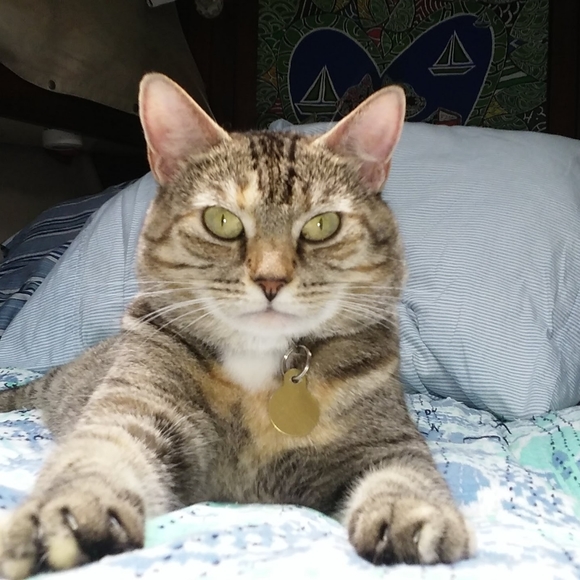 zysanne